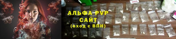 тгк Бородино
