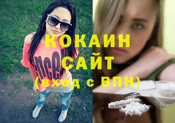 тгк Бородино