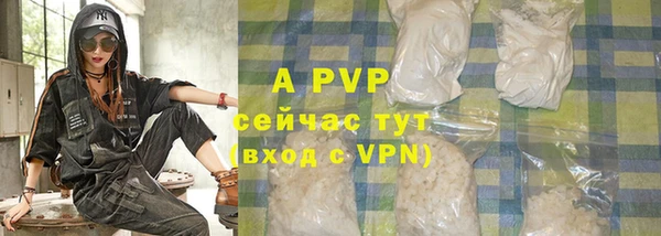 тгк Бородино