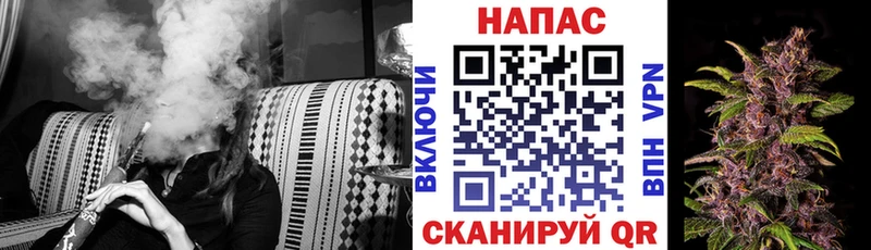 Бошки Шишки Bruce Banner Грозный